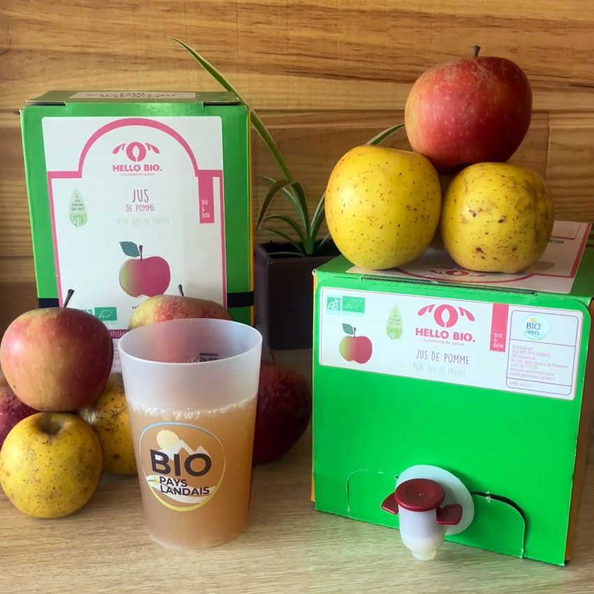 Jus de pomme - Cubi