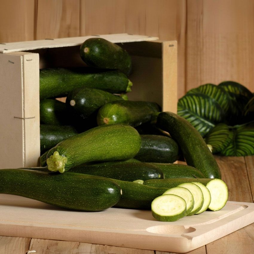 Courgette