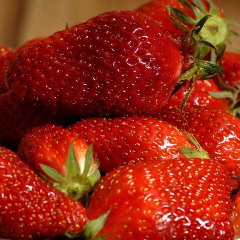 Fraise Gariguette
