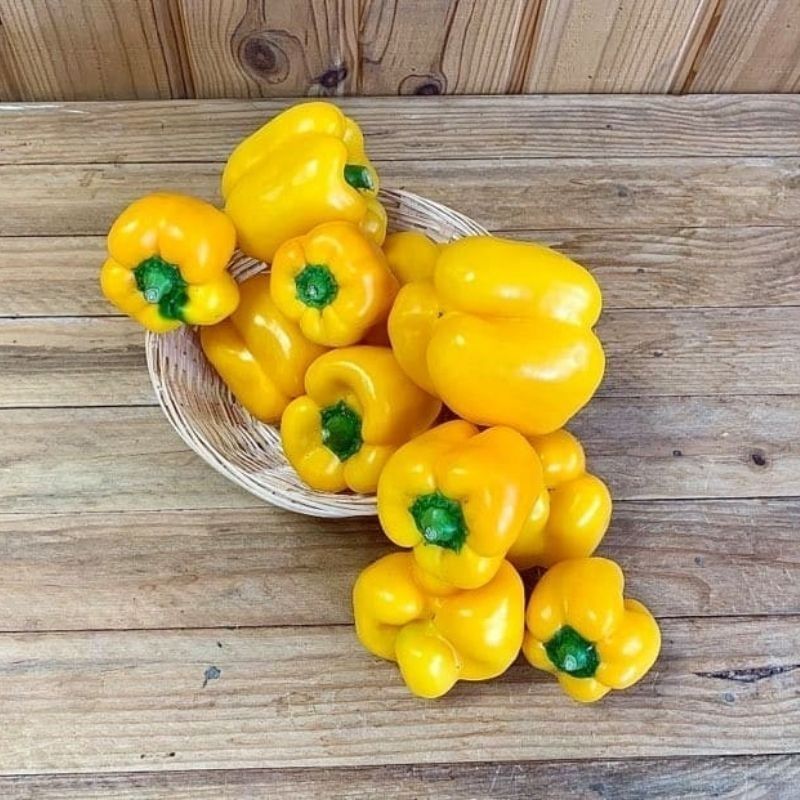 Poivron jaune