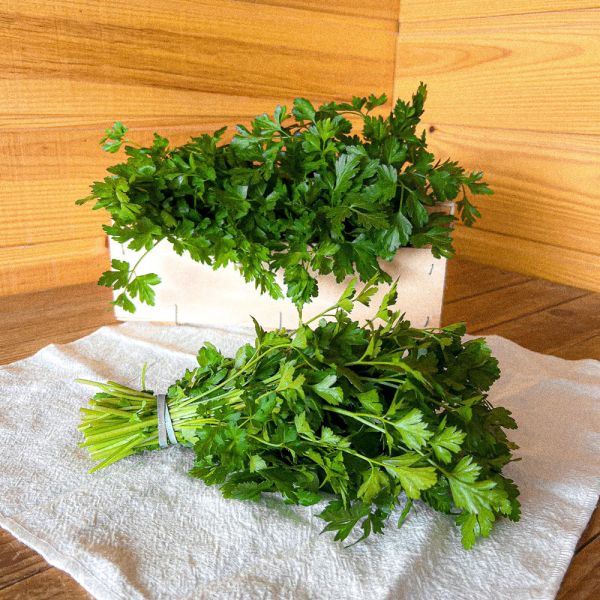 Persil plat