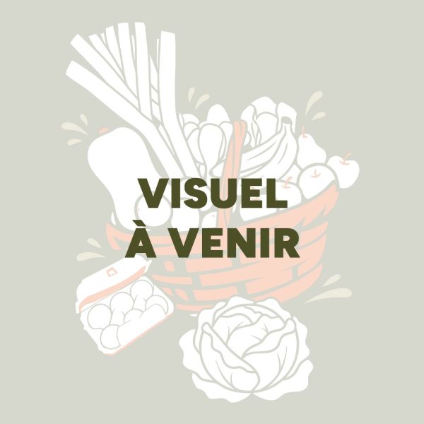 Fraise Manon des Fraises