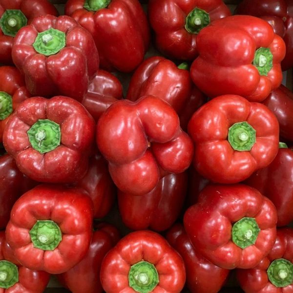 Poivron rouge